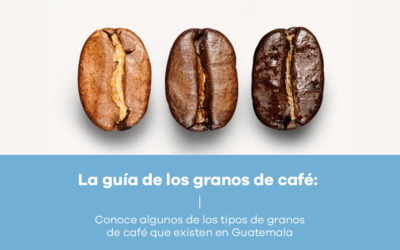 La guía de las variedades de café
