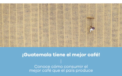 GUATEMALA TIENE EL MEJOR CAFE! CONOCE COMO CONSUMIR EL MEJOR CAFE QUE EL PAÍS PRODUCE