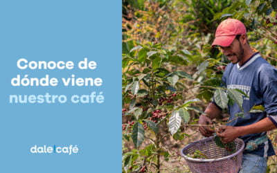 Conoce de dónde viene nuestro café