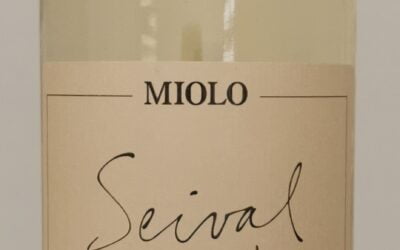149	Seival Chardonnay