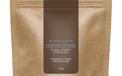 161	Dale!Cafe Huehue Teogal Serie Microlotes 250g