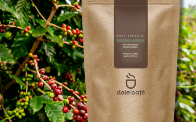 174	Dale!Cafe Guatemala Decaf  250g