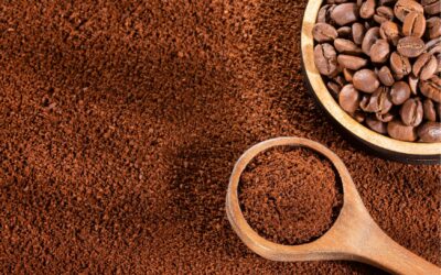 Cuatro características que hacen especial al café guatemalteco