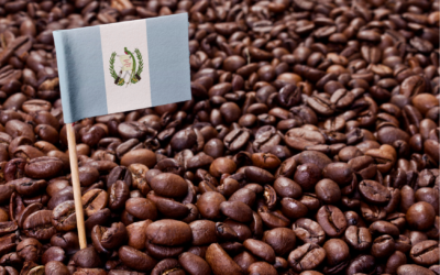El café Guatemalteco, un tesoro nacional