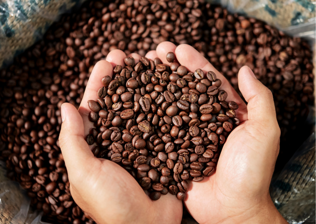 Una importante técnica para mejorar tu café es seleccionar granos arábigos de alta calidad, recién tostados por un tostador calificado.