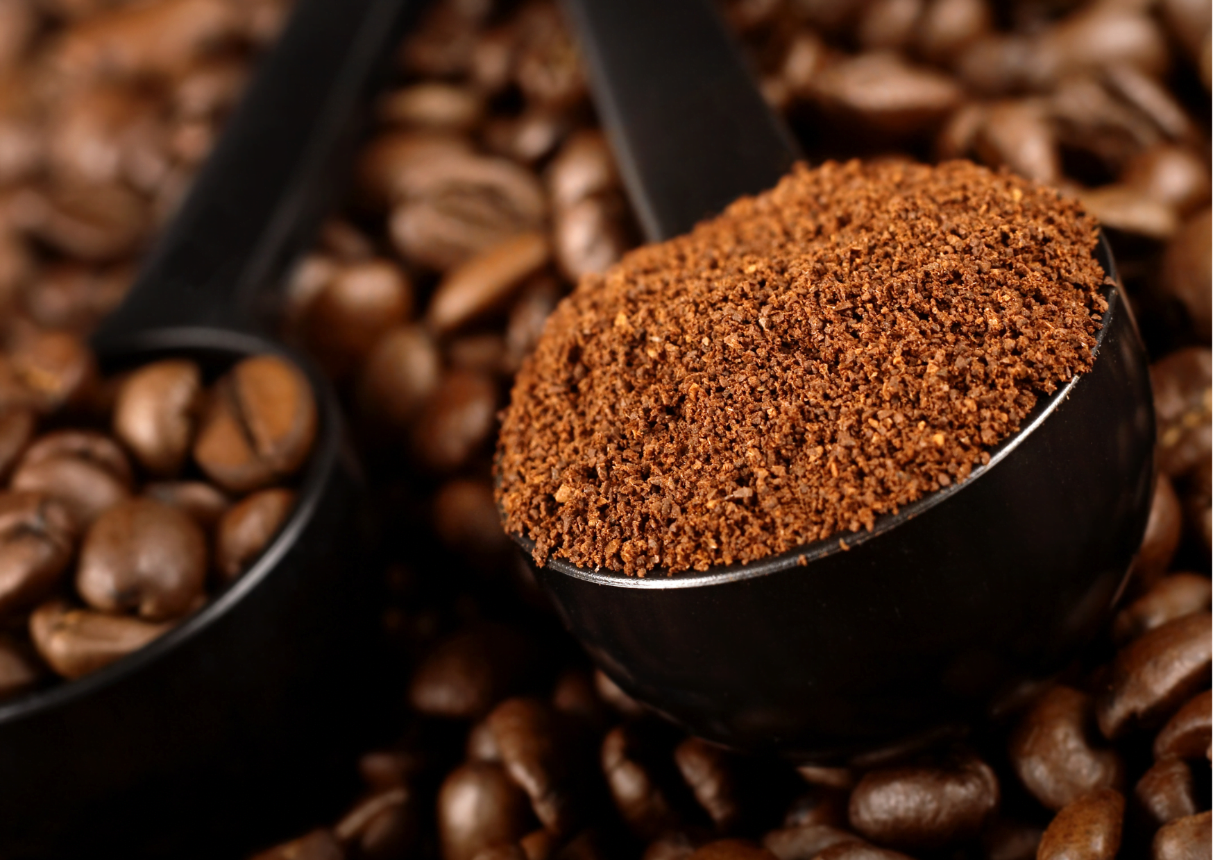 Consejos para Preservar el Sabor del Café Molido
