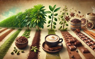 Cardamomo: Origen, Beneficios y Maridaje Perfecto con Chocolate y Café