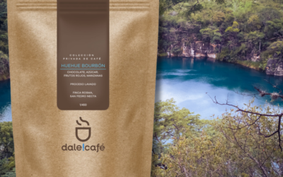 374	Dale!Café Huehue Bourbon Colección Privada 250g
