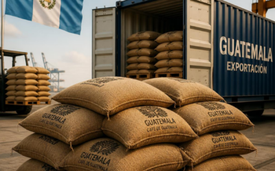 Del cafetal a tu taza: por qué en Guatemala el café se vive distinto